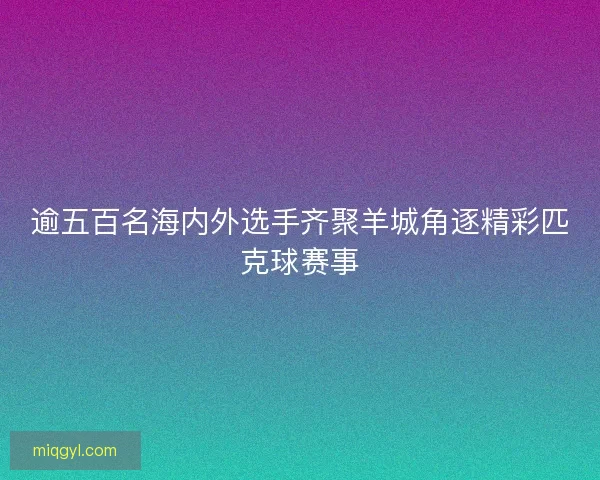 逾五百名海内外选手齐聚羊城角逐精彩匹克球赛事