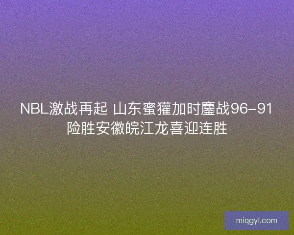 NBL激战再起 山东蜜獾加时鏖战96-91险胜安徽皖江龙喜迎连胜