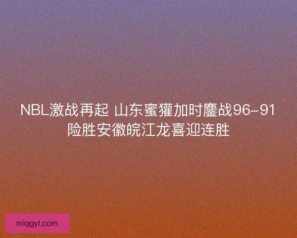 NBL激战再起 山东蜜獾加时鏖战96-91险胜安徽皖江龙喜迎连胜